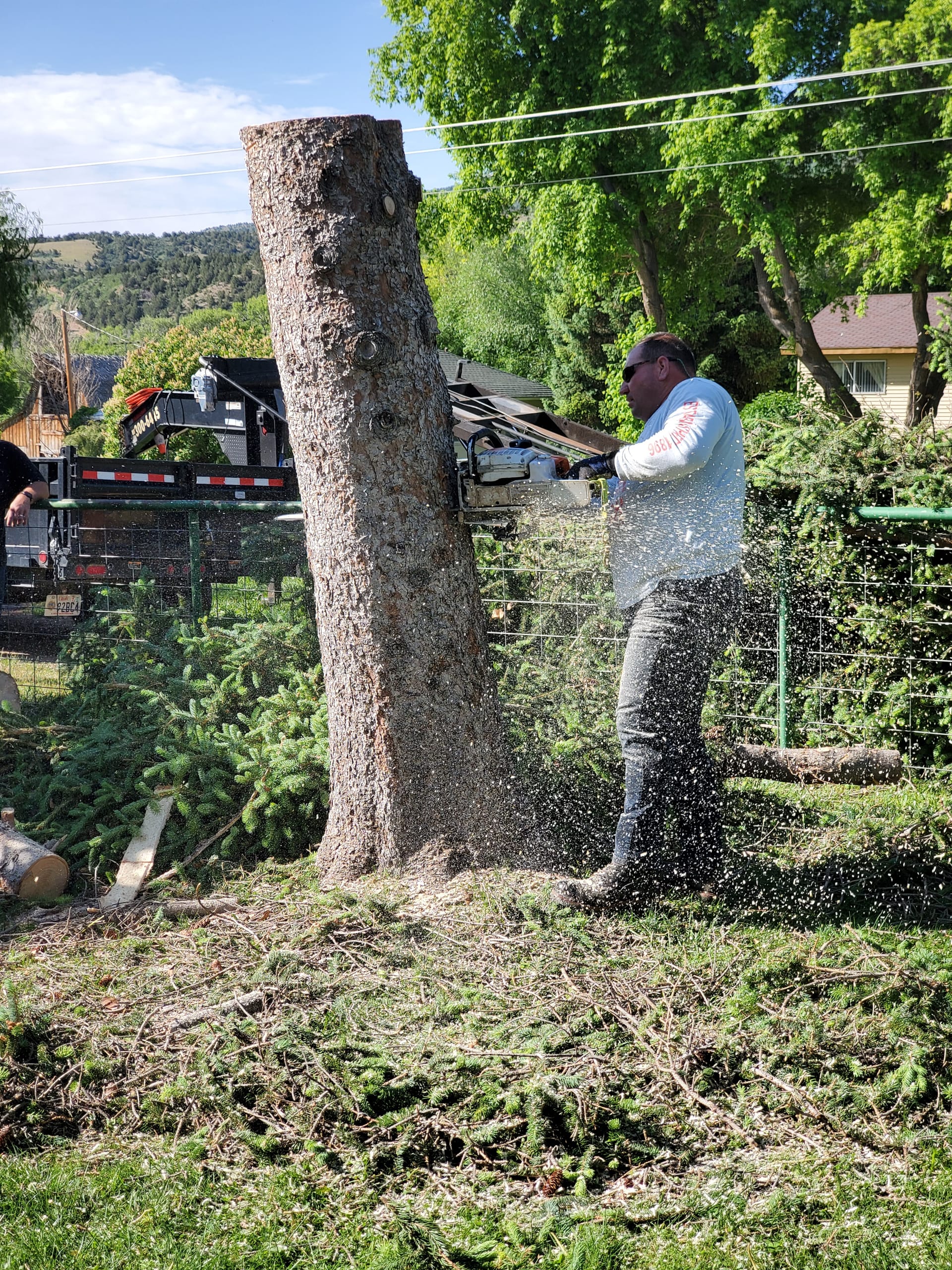 Carey grinding a massive stump with commercial equipment